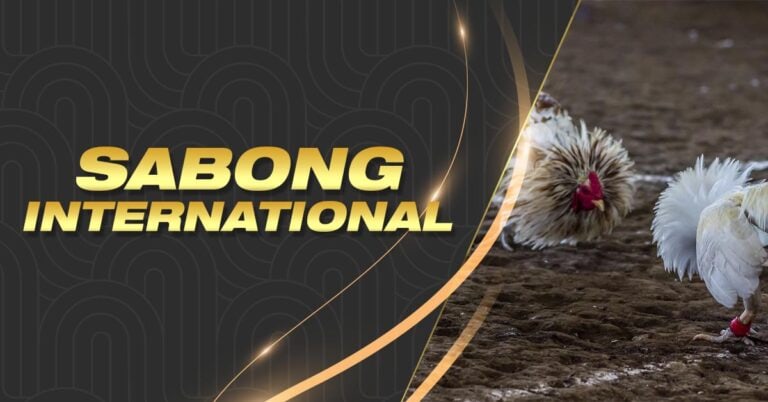 ph444 slot how to bet in missouri